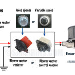 What to Do If the Blower Motor is Not Working on Any Speed