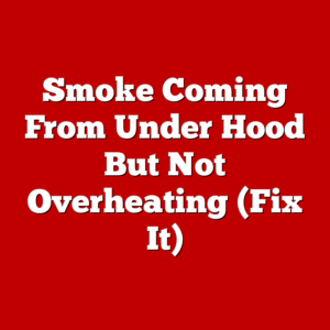 Smoke Coming From Under Hood But Not Overheating (Fix It)