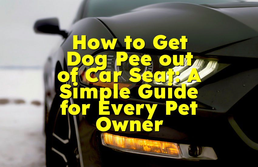 How to Get Dog Pee out of Car Seat: A Simple Guide for Every Pet Owner