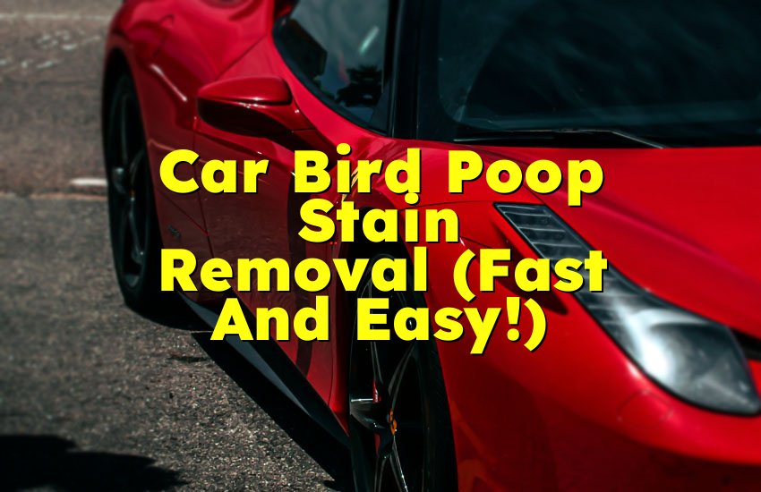 Car Bird Poop Stain Removal (Fast And Easy!)