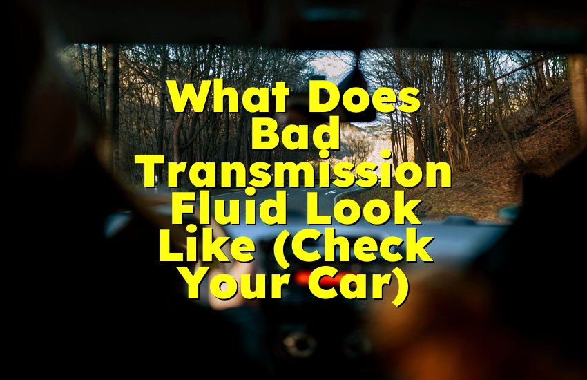 What Does Bad Transmission Fluid Look Like (Check Your Car)
