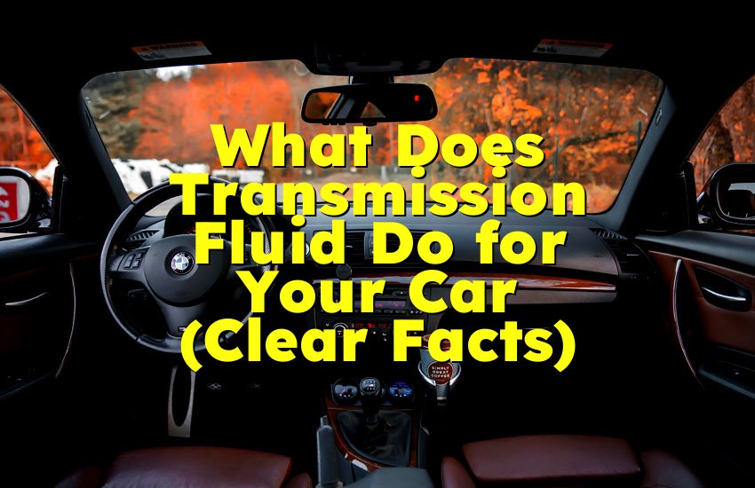 What Does Transmission Fluid Do for Your Car (Clear Facts)
