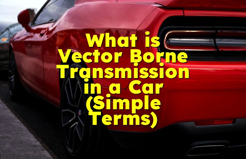 What is Vector Borne Transmission in a Car (Simple Terms)