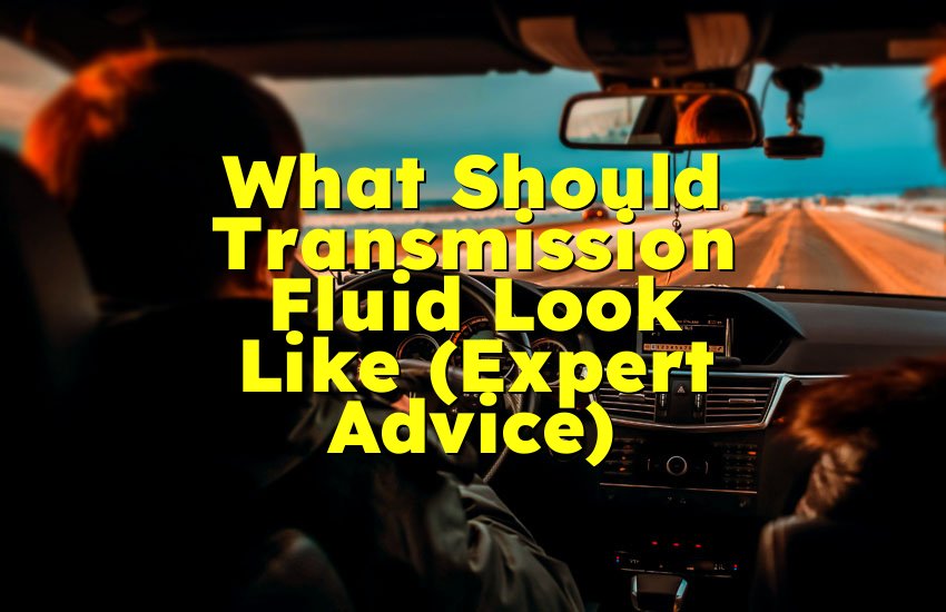 What Should Transmission Fluid Look Like (Expert Advice)